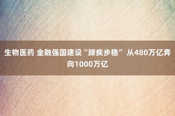 生物医药 金融强国建设“蹄疾步稳” 从480万亿奔向1000万亿
