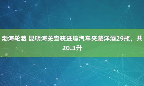 渤海轮渡 昆明海关查获进境汽车夹藏洋酒29瓶，共20.3升