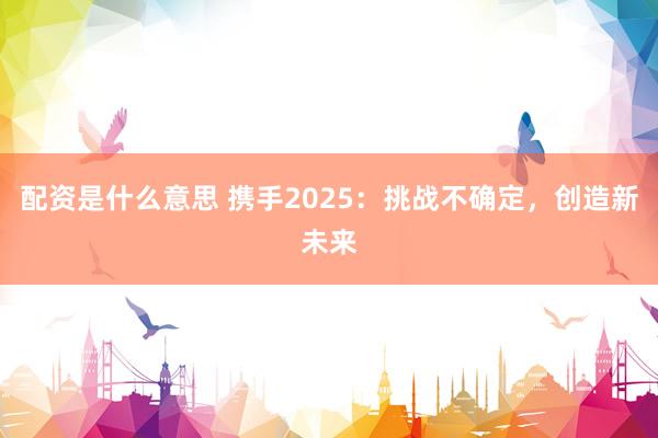 配资是什么意思 携手2025：挑战不确定，创造新未来