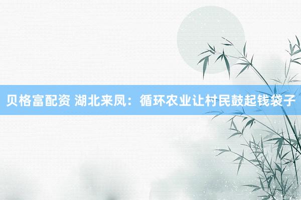 贝格富配资 湖北来凤：循环农业让村民鼓起钱袋子