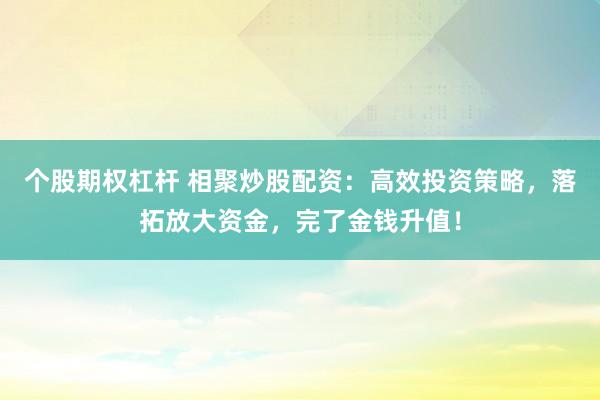 个股期权杠杆 相聚炒股配资：高效投资策略，落拓放大资金，完了金钱升值！