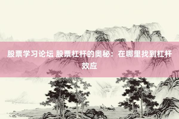 股票学习论坛 股票杠杆的奥秘：在哪里找到杠杆效应