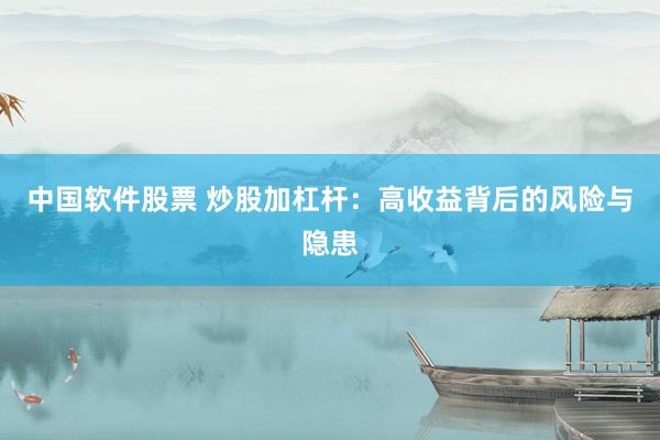 中国软件股票 炒股加杠杆：高收益背后的风险与隐患