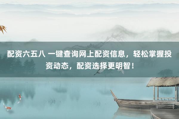 配资六五八 一键查询网上配资信息，轻松掌握投资动态，配资选择更明智！