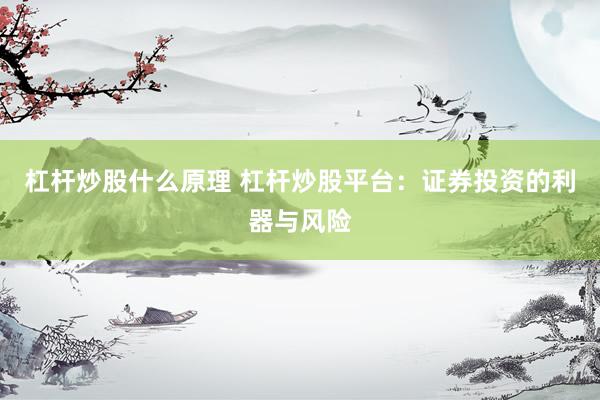 杠杆炒股什么原理 杠杆炒股平台：证券投资的利器与风险