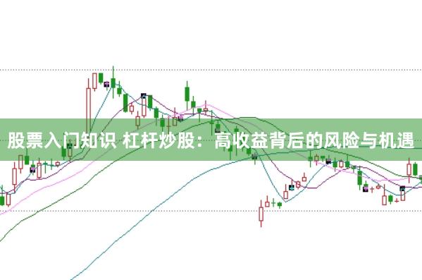 股票入门知识 杠杆炒股：高收益背后的风险与机遇