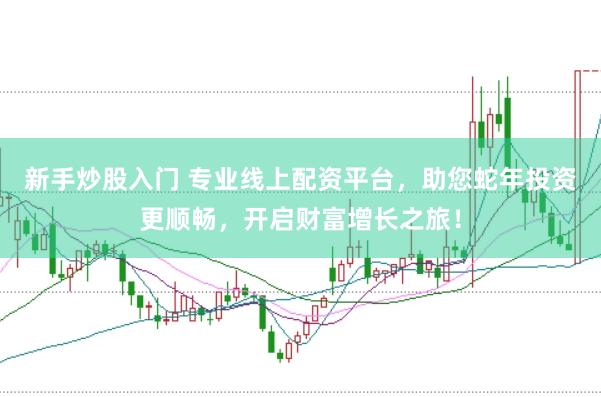 新手炒股入门 专业线上配资平台，助您蛇年投资更顺畅，开启财富增长之旅！
