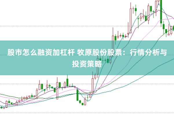 股市怎么融资加杠杆 牧原股份股票：行情分析与投资策略