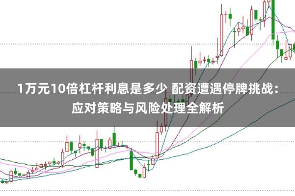 1万元10倍杠杆利息是多少 配资遭遇停牌挑战：应对策略与风险处理全解析