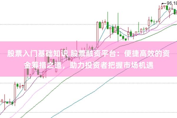 股票入门基础知识 股票融资平台：便捷高效的资金筹措之道，助力投资者把握市场机遇