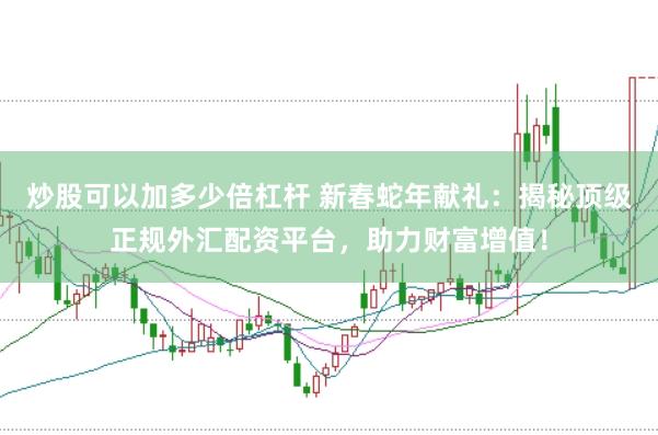 炒股可以加多少倍杠杆 新春蛇年献礼：揭秘顶级正规外汇配资平台，助力财富增值！