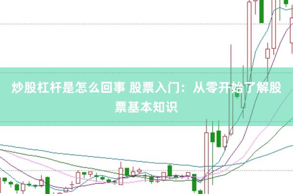 炒股杠杆是怎么回事 股票入门：从零开始了解股票基本知识