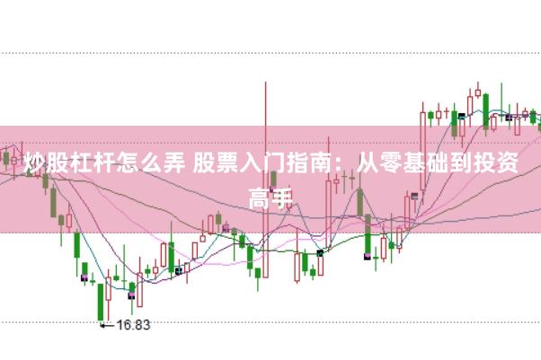 炒股杠杆怎么弄 股票入门指南：从零基础到投资高手