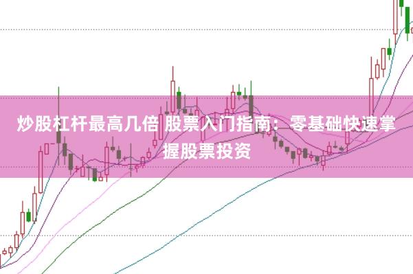 炒股杠杆最高几倍 股票入门指南：零基础快速掌握股票投资