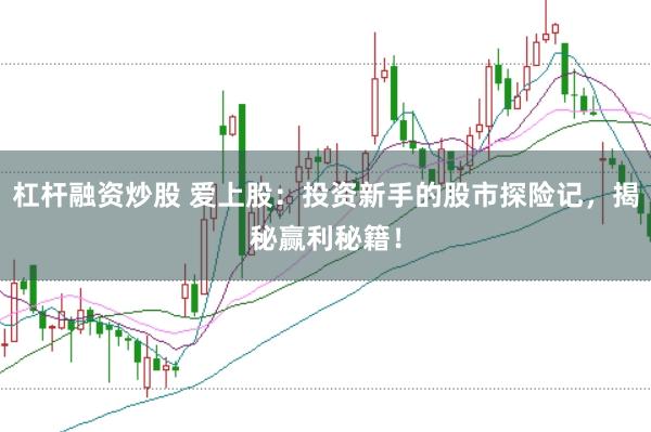 杠杆融资炒股 爱上股：投资新手的股市探险记，揭秘赢利秘籍！