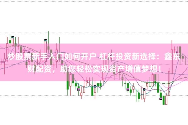 炒股票新手入门如何开户 杠杆投资新选择：鑫东财配资，助您轻松实现资产增值梦想！