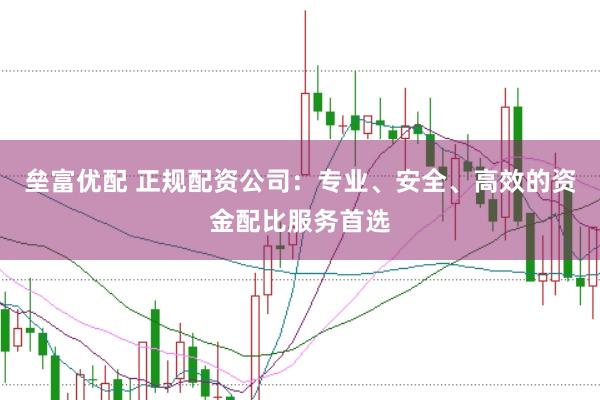 垒富优配 正规配资公司：专业、安全、高效的资金配比服务首选