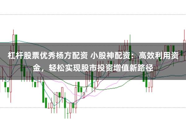 杠杆股票优秀杨方配资 小股神配资：高效利用资金，轻松实现股市投资增值新路径