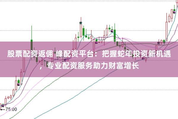 股票配资返佣 峰配资平台：把握蛇年投资新机遇，专业配资服务助力财富增长