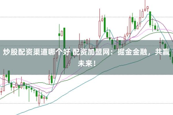 炒股配资渠道哪个好 配资加盟网：掘金金融，共赢未来！