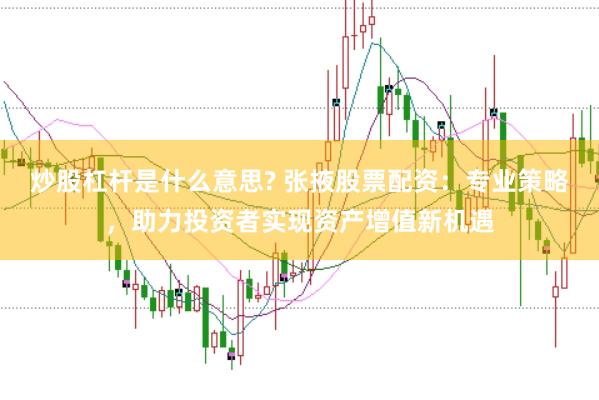 炒股杠杆是什么意思? 张掖股票配资：专业策略，助力投资者实现资产增值新机遇