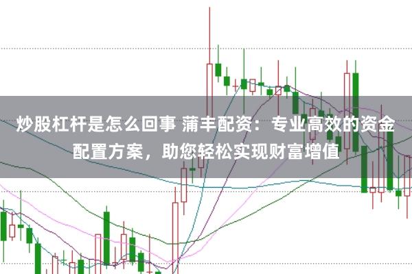 炒股杠杆是怎么回事 蒲丰配资：专业高效的资金配置方案，助您轻松实现财富增值