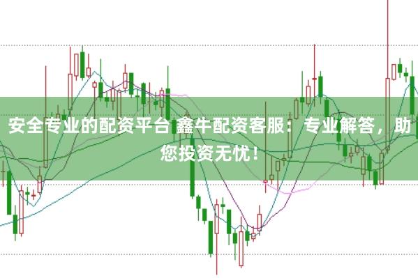 安全专业的配资平台 鑫牛配资客服：专业解答，助您投资无忧！