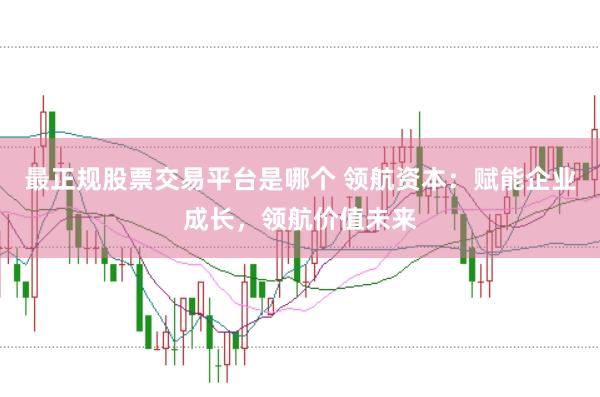 最正规股票交易平台是哪个 领航资本：赋能企业成长，领航价值未来