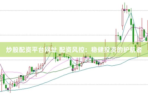 炒股配资平台网址 配资风控：稳健投资的护航者