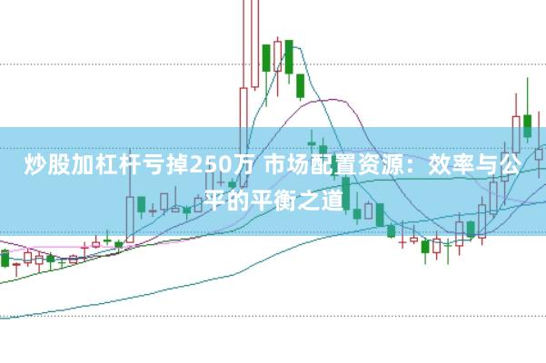 炒股加杠杆亏掉250万 市场配置资源：效率与公平的平衡之道