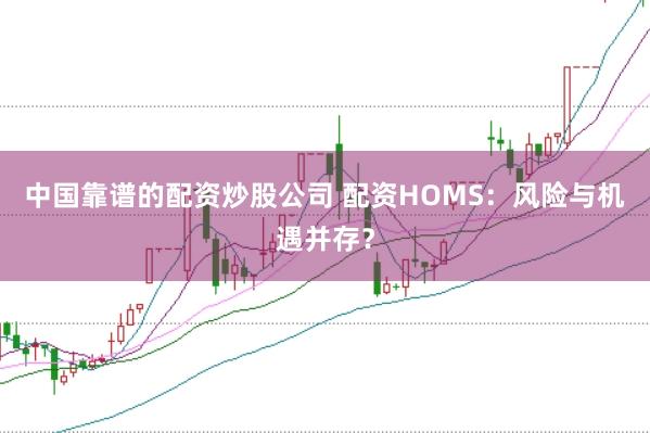 中国靠谱的配资炒股公司 配资HOMS：风险与机遇并存？