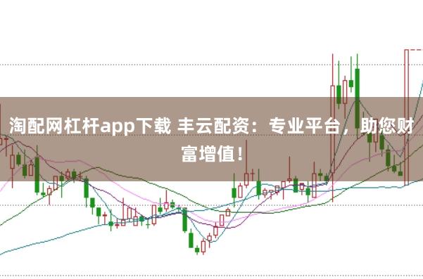 淘配网杠杆app下载 丰云配资：专业平台，助您财富增值！