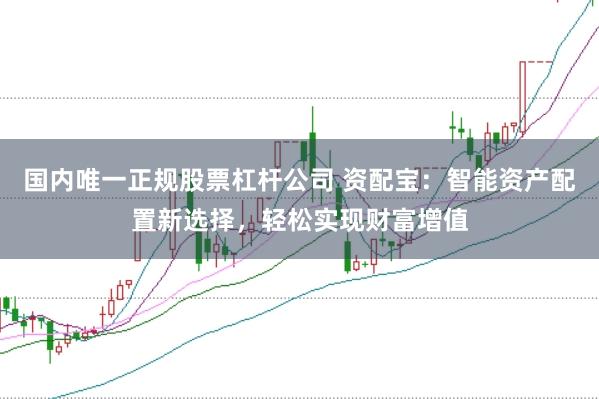 国内唯一正规股票杠杆公司 资配宝:智能资产配置新选择,轻松实现财富增值