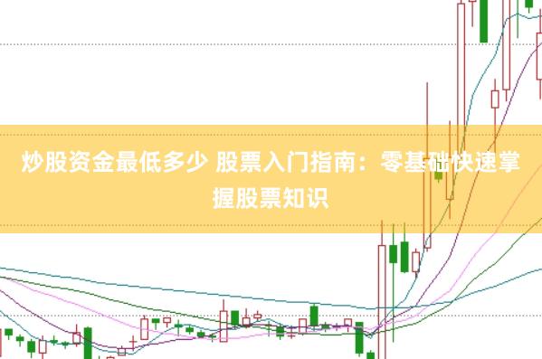 炒股资金最低多少 股票入门指南:零基础快速掌握股票知识