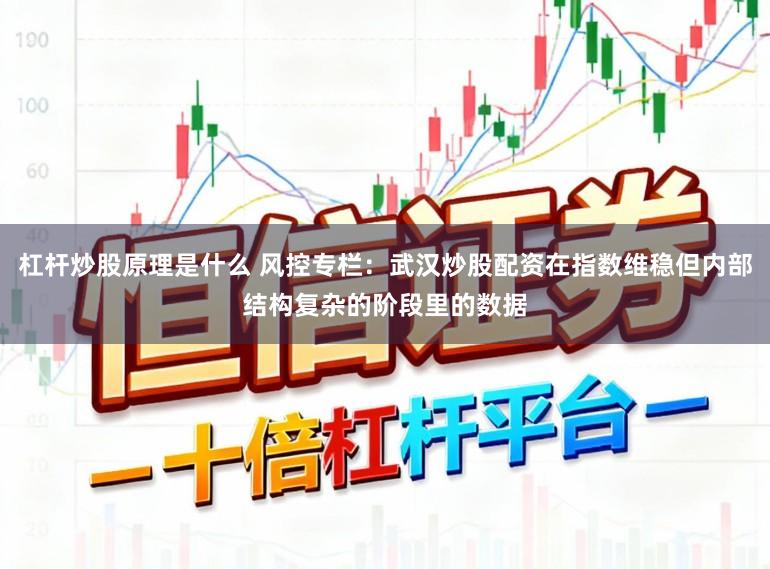 杠杆炒股原理是什么 风控专栏：武汉炒股配资在指数维稳但内部结构复杂的阶段里的数据